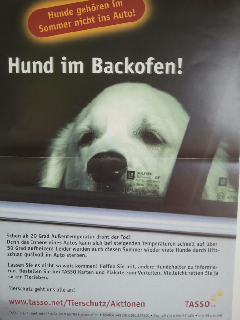 Hund im Backofen