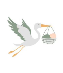 Schwangerschaftsbegleitung